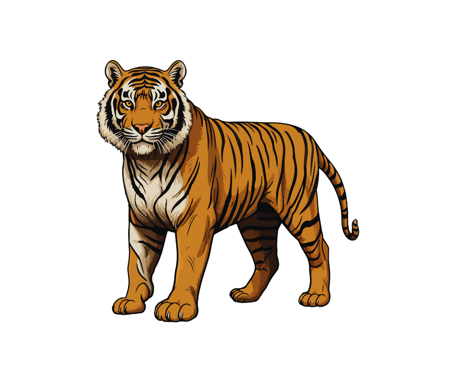 tiger
