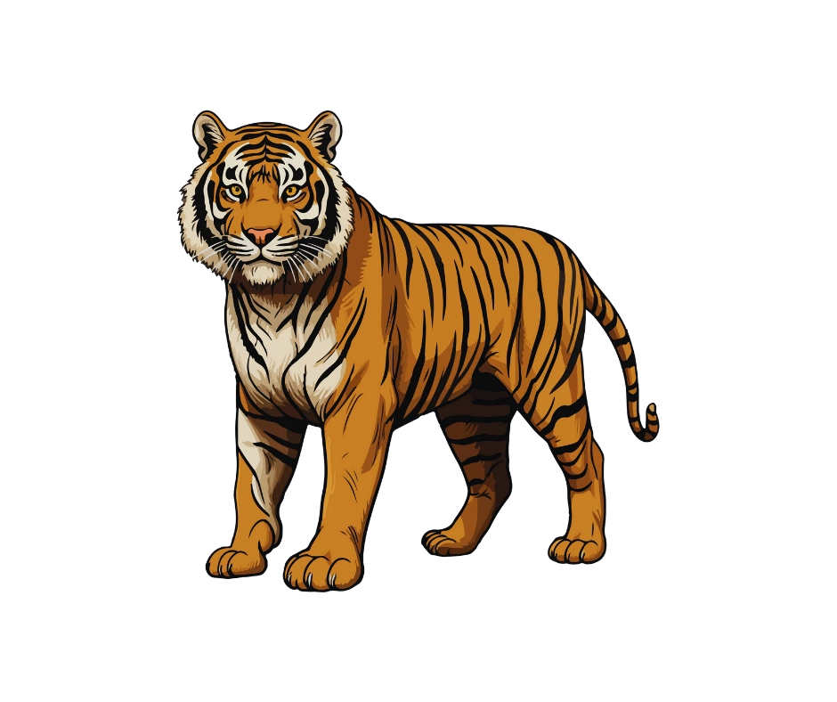 tiger