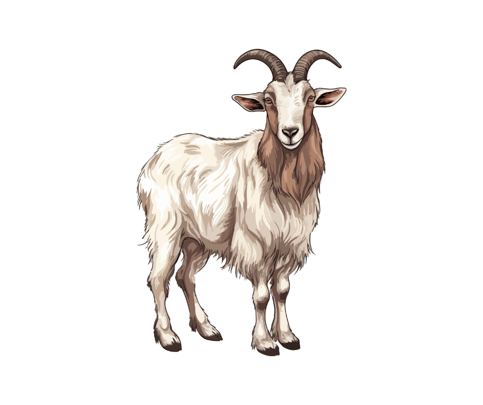 goat