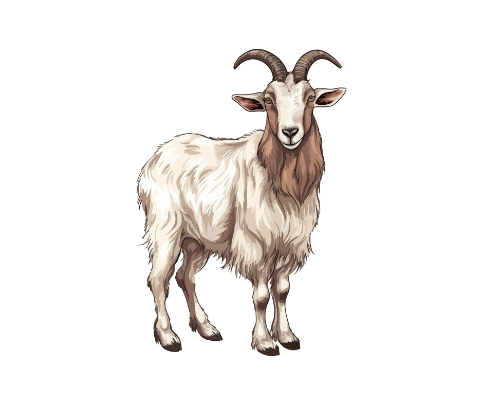 goat