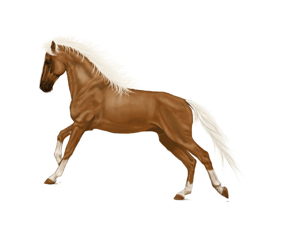 horse