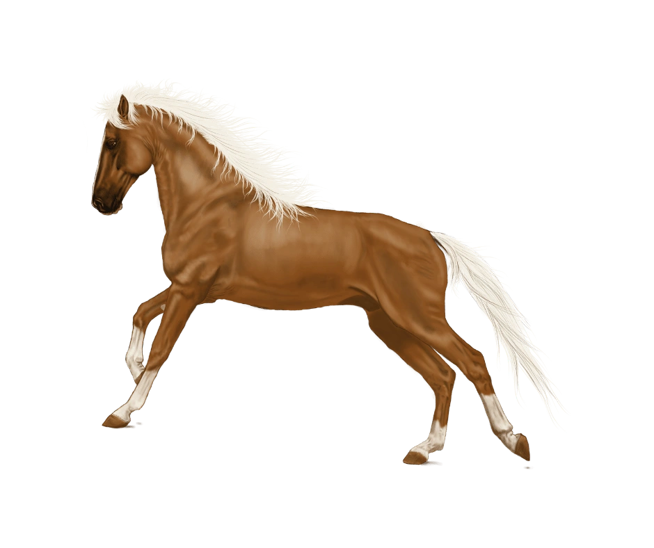 horse