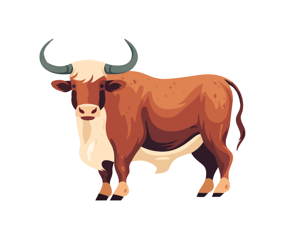 ox