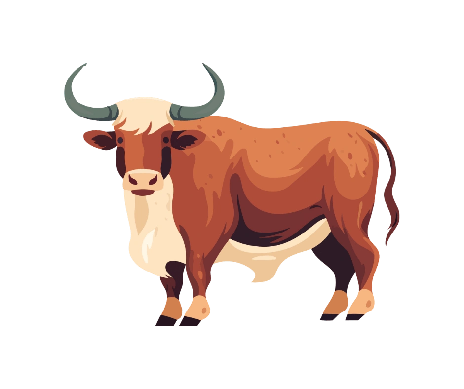 ox