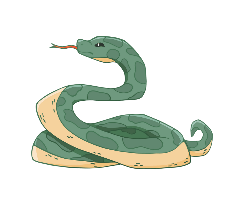 snake