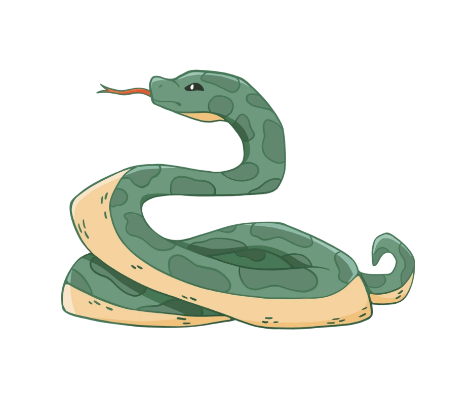 snake